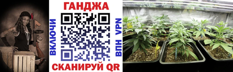 ссылка на мегу зеркало  Чегем  МАРИХУАНА Amnesia  цена  